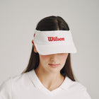 에어 스트레치 바이저