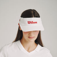 에어 스트레치 바이저