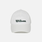 라이트 모션 캡