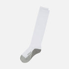 액티브 모션 니삭스