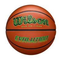윌슨 2025 EVO*EDITIONS 농구공 #10