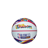 2025 NBA ALL STAR 미니 농구공